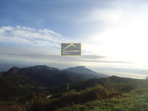 Vente Terrain Béjaïa Bejaia