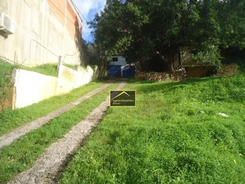 Vente Terrain Béjaïa Bejaia