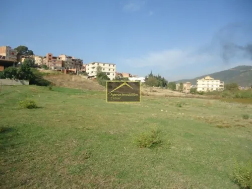 Vente Terrain Bejaia Tala hamzadaira