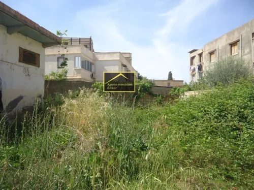 Vente Terrain Bejaia Bejaia