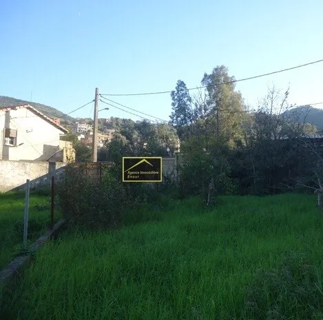Vente Terrain Béjaïa Tala hamzadaira
