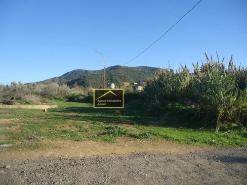 Vente Terrain Béjaïa Tala hamzadaira