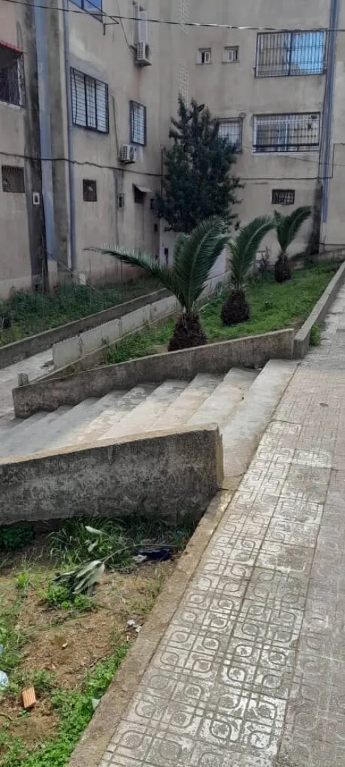 Location Appartement F4 Tipaza Kolea