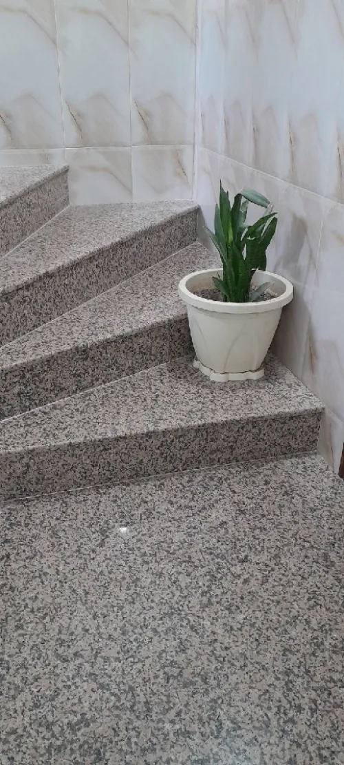 Location Appartement F3 Tipaza Bou ismail
