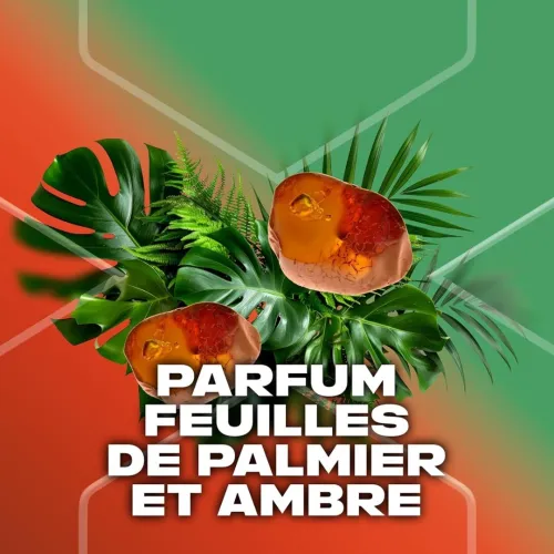 Déodorant Axe Homme Spray, Jungle Fresh, 48h Non-Stop Frais, Parfum Feuilles de Palmier et Ambre, 200ml, Produit d'Origine