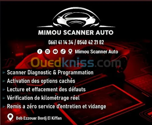 Scanner auto et Activation des options cachés à domicile 