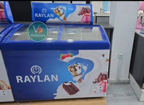 Congélateur présentoir marque raylan 258L