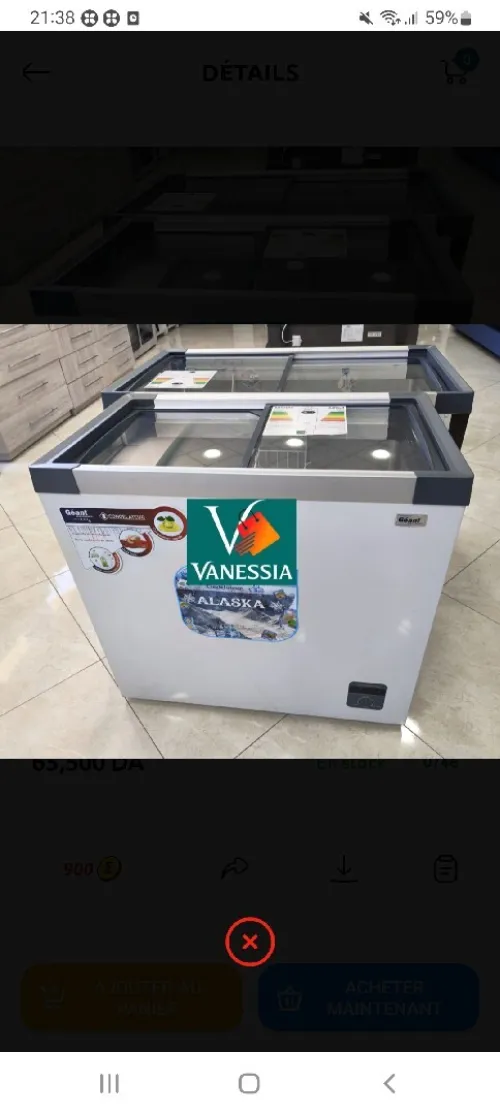 Congélateur vitré marque géant 254L