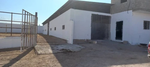 Vente Hangar - Usine Tlemcen Hennaya