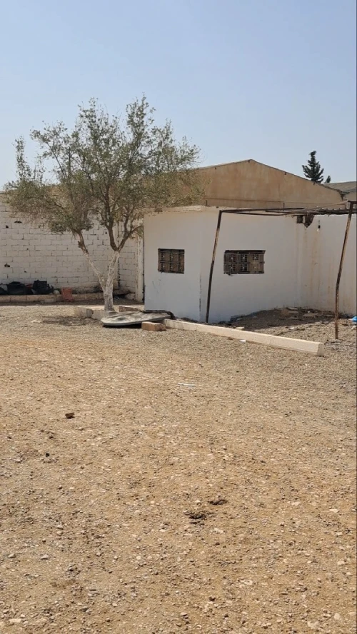 Vente Hangar - Usine Tlemcen Hennaya