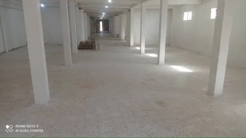 Location Hangar - Usine Alger Ain benian