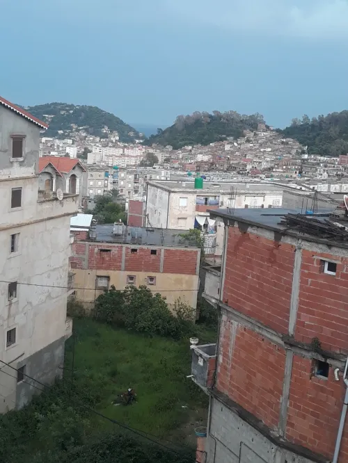Vente Appartement F4 Skikda Collo