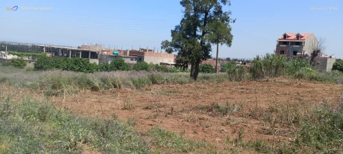 Vente Terrain Blida Meftah