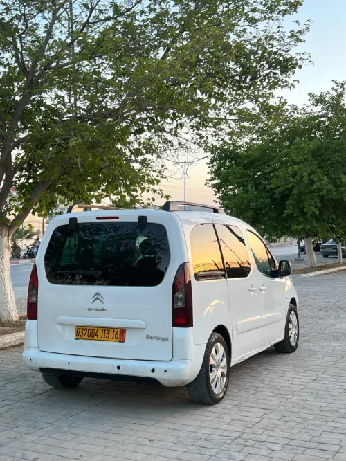Citroen Berlingo 2013 Berlingo