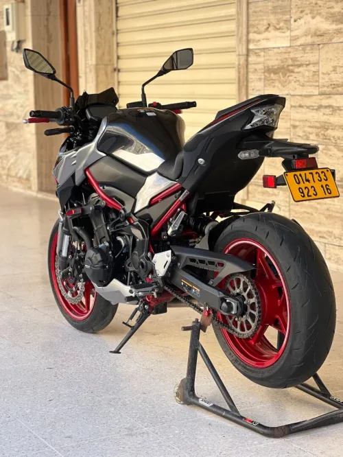 Kawazaki Z9000 2023