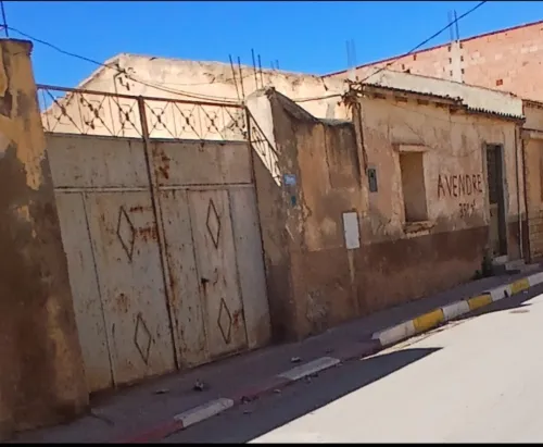 Vente Terrain Oran Ben freha