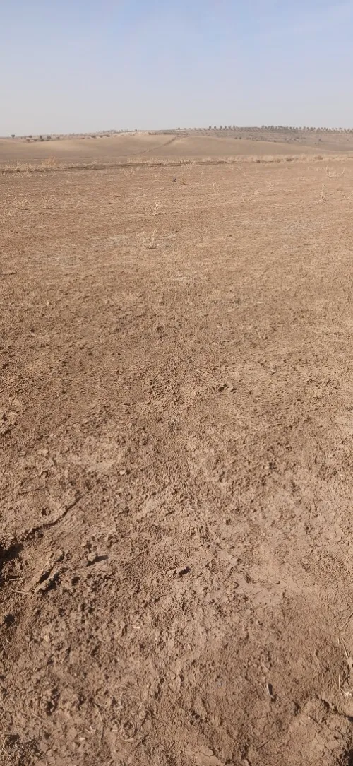 Vente Terrain Agricole Sidi Bel Abbès Sidi lahcene