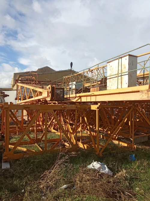 Grue A Tour