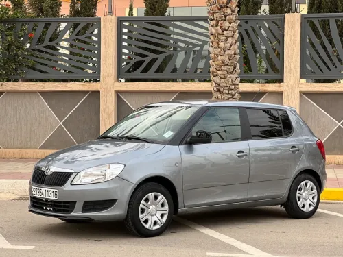 Skoda Fabia 2013 Fresh