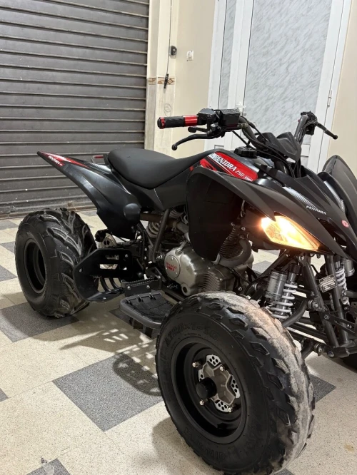 Qouad vms Pentora 