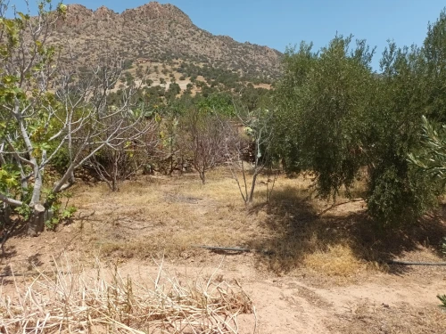 Vente Terrain Béjaïa Akbou