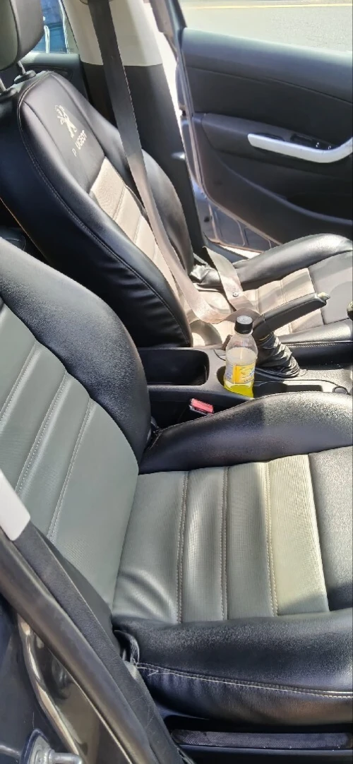 Peugeot 308 2009 Platinum 