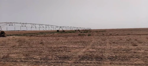 Vente Terrain Agricole Adrar Fenoughil