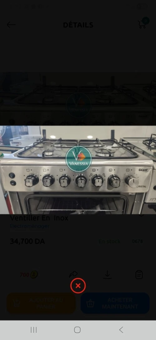 Cuisinière Marque Géant Cristal Ventiller En  Inox