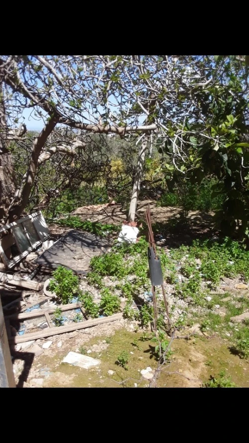 Vente Villa Tlemcen Tlemcen