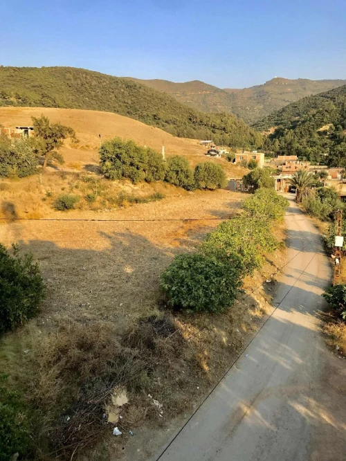 Vente Terrain Blida Bougara