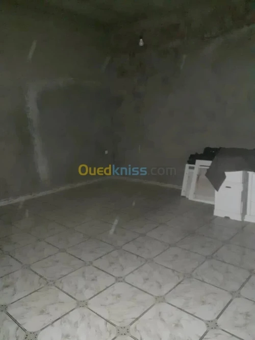 Vente Villa Aïn Defla Tarik ibn ziad