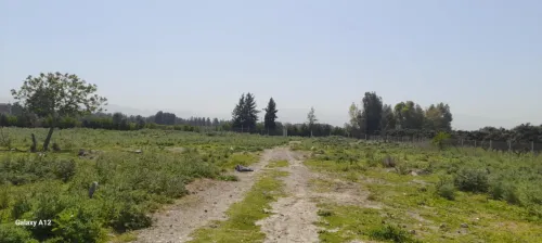 Vente Terrain Alger Sidi moussa