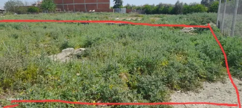 Vente Terrain Alger Sidi moussa