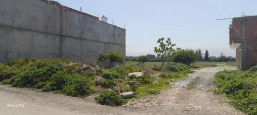 Vente Terrain Alger Sidi moussa