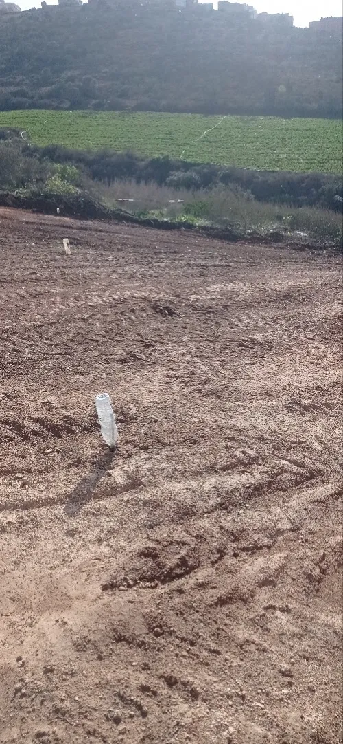 Vente Terrain Tlemcen Souahlia