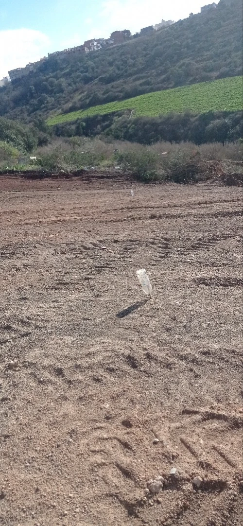 Vente Terrain Tlemcen Souahlia