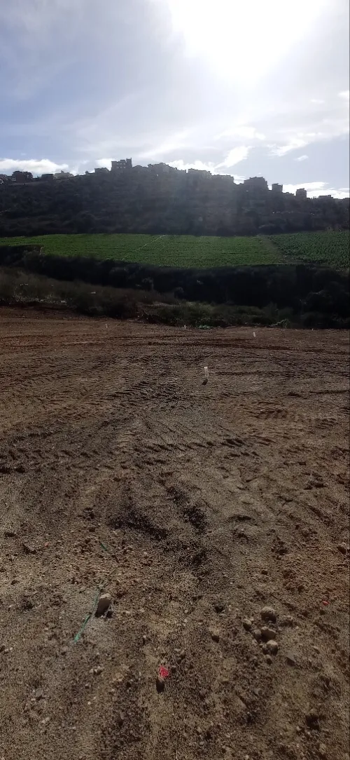 Vente Terrain Tlemcen Souahlia