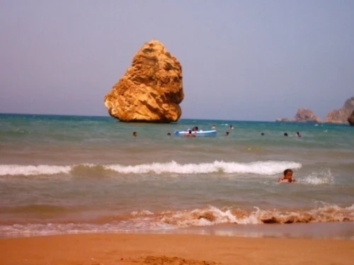 Location vacances Appartement Studio F2 F3 Tlemcen Marsa ben mhidi