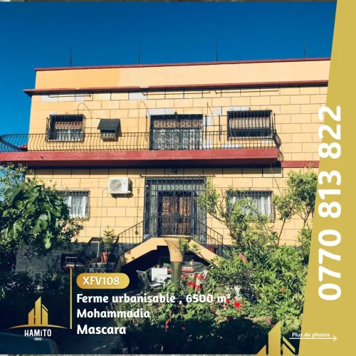 Vente bien immobilier Mascara Mohammadia