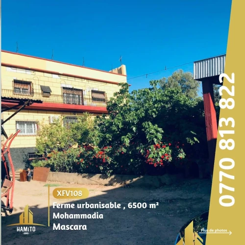 Vente bien immobilier Mascara Mohammadia