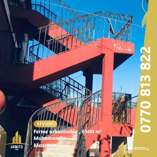 Vente bien immobilier Mascara Mohammadia