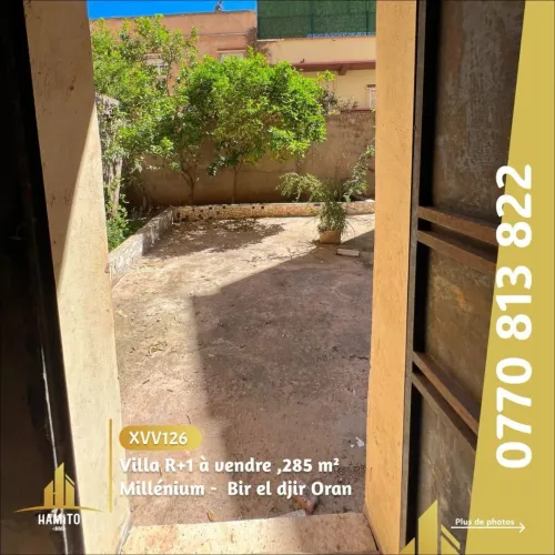 Vente Villa Oran Bir el djir