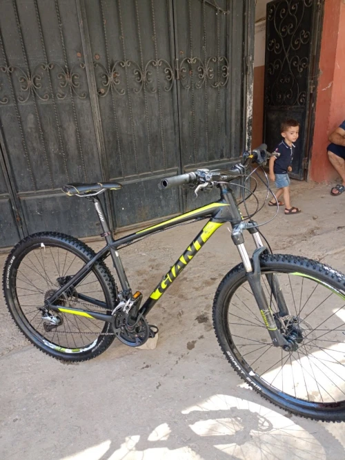 Velo giant 