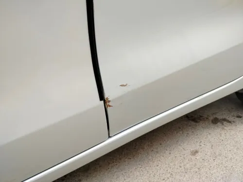 Suzuki Swift 2022 Swift