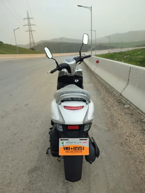 Vms Estate x 2025
