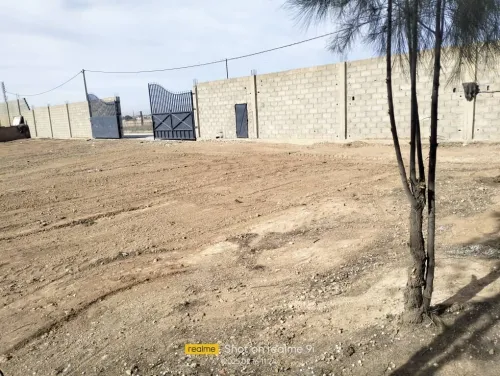 Vente Terrain Sétif Mezloug