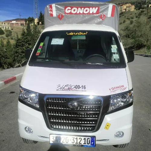 Gonow Mini Truck Double Cabine 2012 