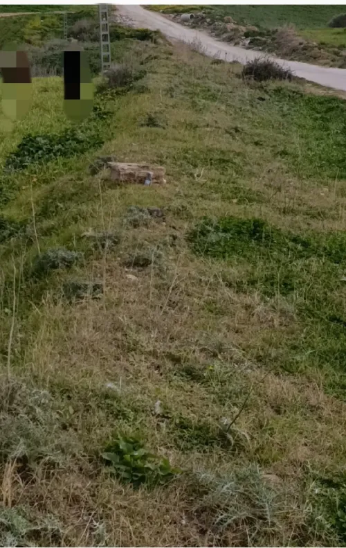 Vente Terrain Agricole Guelma Heliopolis