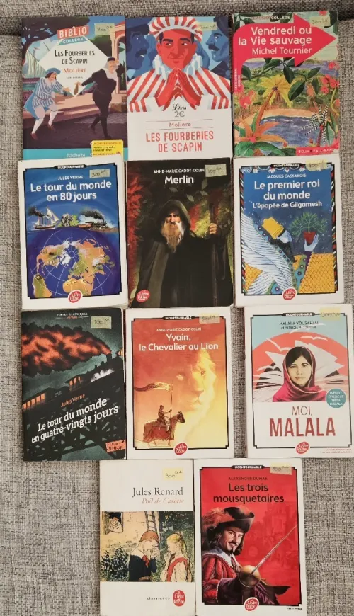 Lots des livres collège LIAD