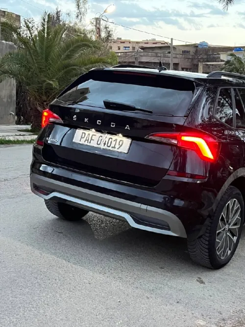 Skoda Kamiq 2021 Clever